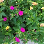 Apartamento In - Istrien 38147